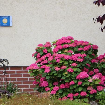 Ferienwohnung-Wieber Kappel-Grafenhausen Exteriér fotografie