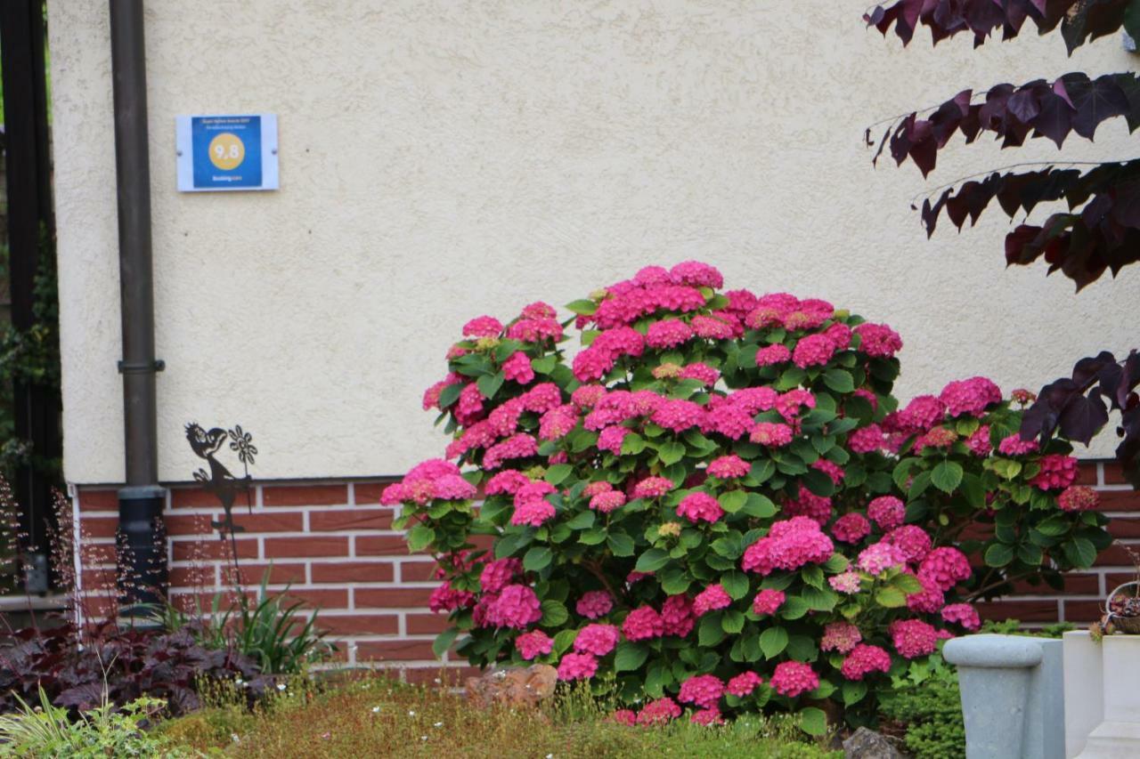 Ferienwohnung-Wieber Kappel-Grafenhausen Exteriér fotografie